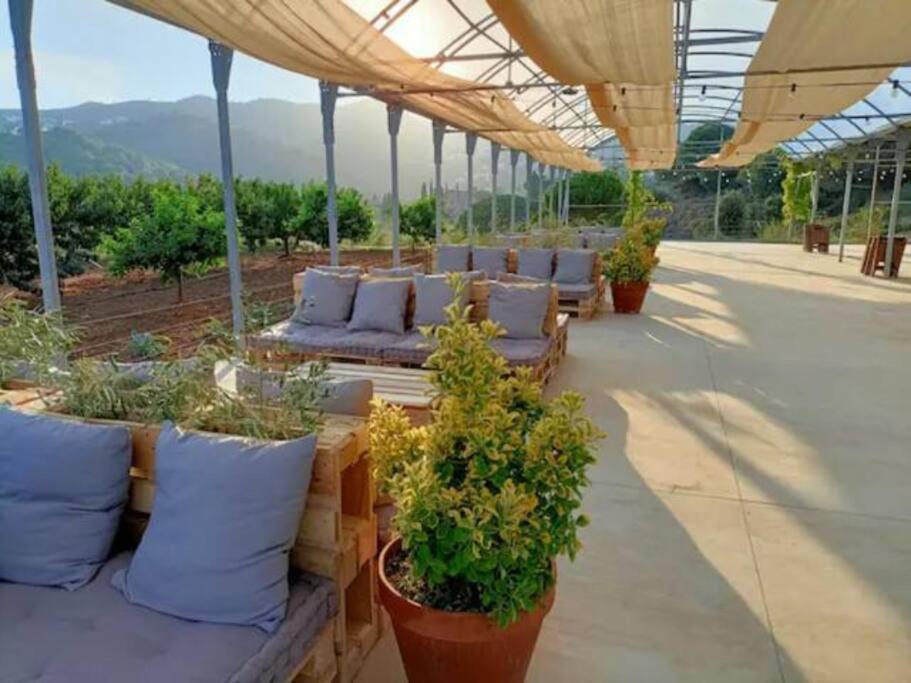 Beautiful Spot For Remote Work Apartamento Alella Exterior foto
